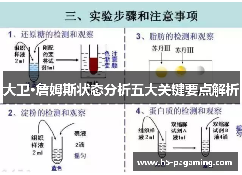 大卫·詹姆斯状态分析五大关键要点解析 大卫·詹姆斯状态分析五大关键要点解析