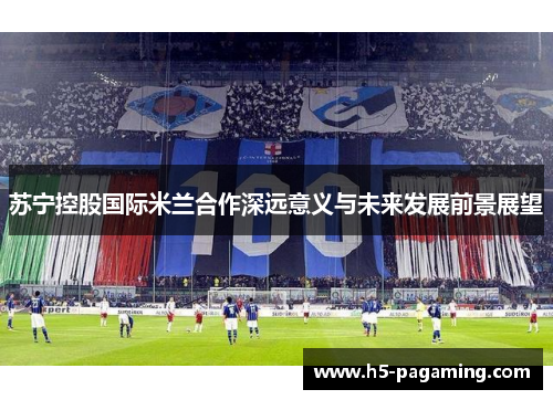 苏宁控股国际米兰合作深远意义与未来发展前景展望