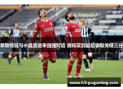 莱斯特城与水晶宫迎来强强对话 谁将笑到最后争取关键三分 莱斯特城与水晶宫迎来强强对话 谁将笑到最后争取关键三分