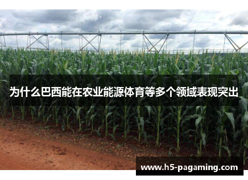 为什么巴西能在农业能源体育等多个领域表现突出 为什么巴西能在农业能源体育等多个领域表现突出