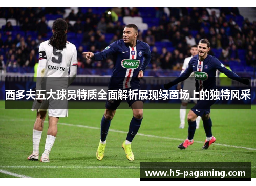 西多夫五大球员特质全面解析展现绿茵场上的独特风采