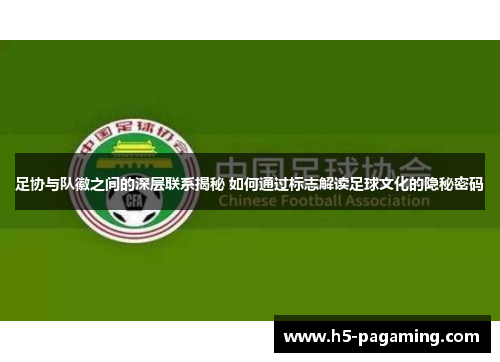 足协与队徽之间的深层联系揭秘 如何通过标志解读足球文化的隐秘密码