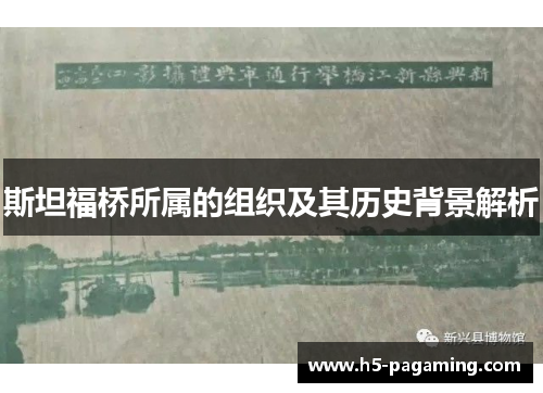 斯坦福桥所属的组织及其历史背景解析