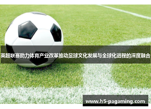 英超联赛助力体育产业改革推动足球文化发展与全球化进程的深度融合
